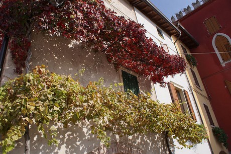 Cassone di Malcesine